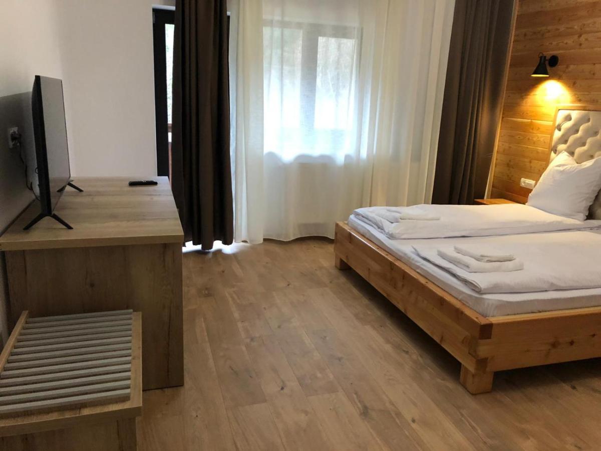 Pensiunea Armonia Albac Zewnętrze zdjęcie
