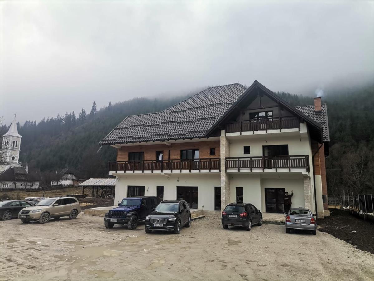 Pensiunea Armonia Albac Zewnętrze zdjęcie